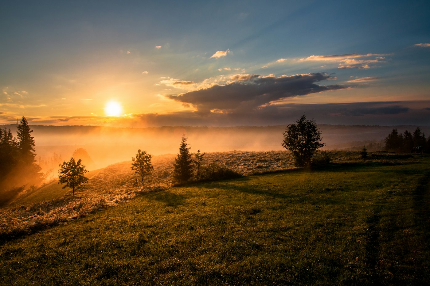 Illustrative photo of a sunny green field — not a specific Tulsa park