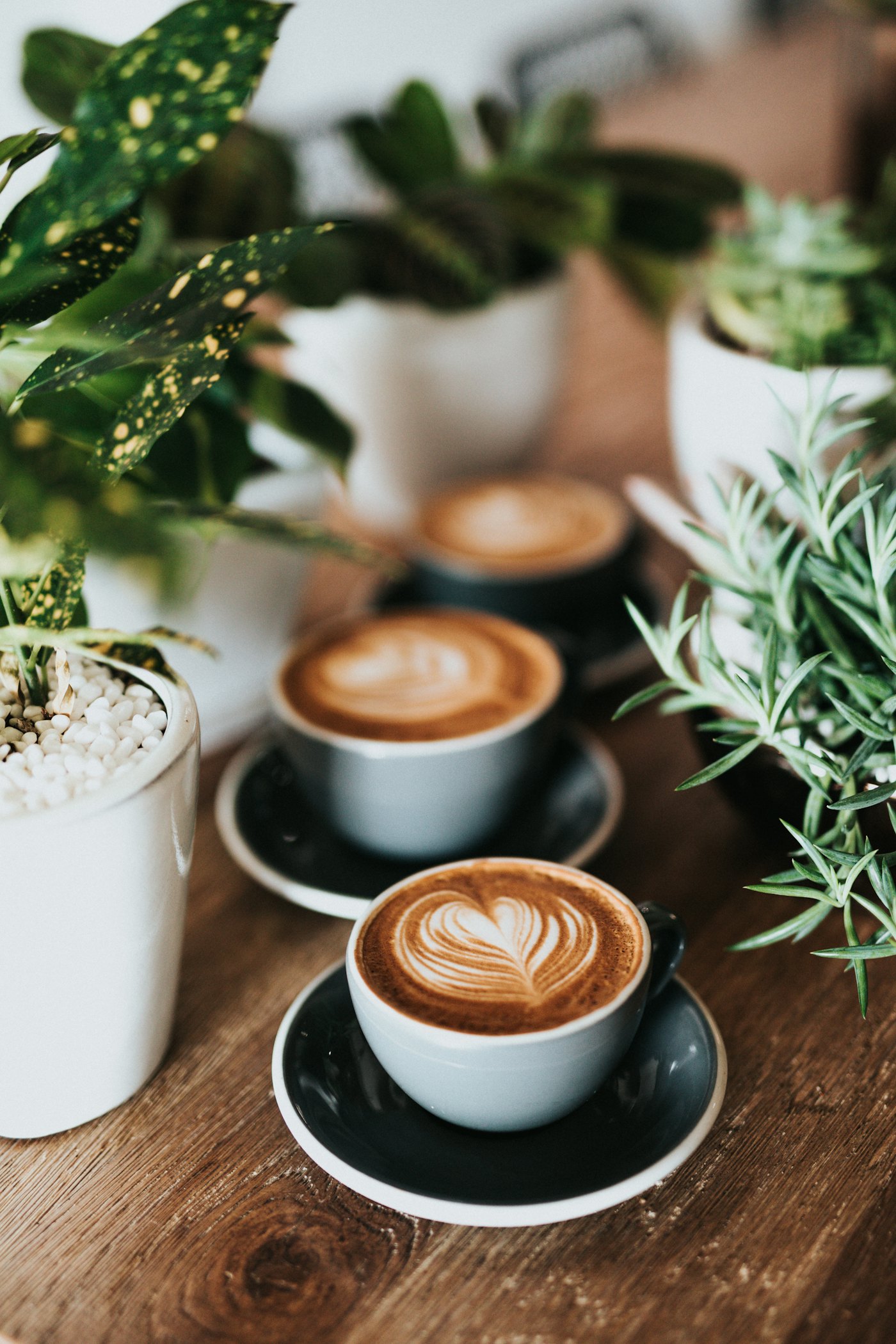 Illustrative photo of roasted coffee beans